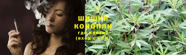 каннабис Михайловка