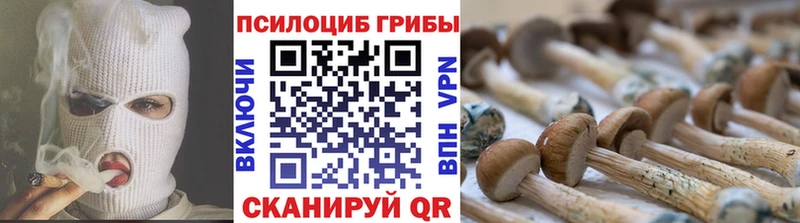 Галлюциногенные грибы MAGIC MUSHROOMS  Куровское 